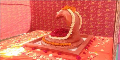 health-wealth-and-happiness-Mela.jp7