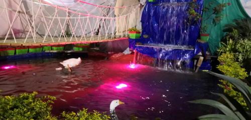 shivratri mela -2019 (12)