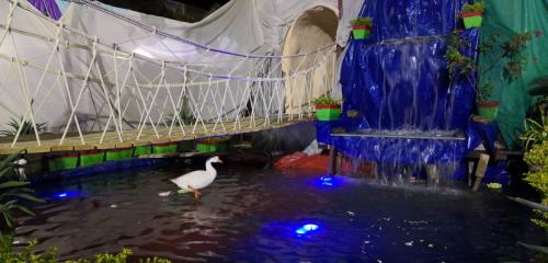 shivratri mela -2019 (13)