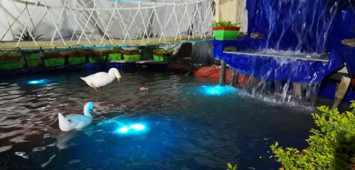 shivratri mela -2019 (15)