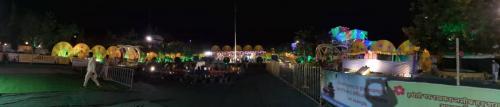 shivratri mela -2019 (42)